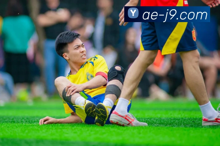 App Interface Preview