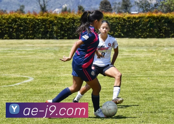 J9.COM官网APP 封面图